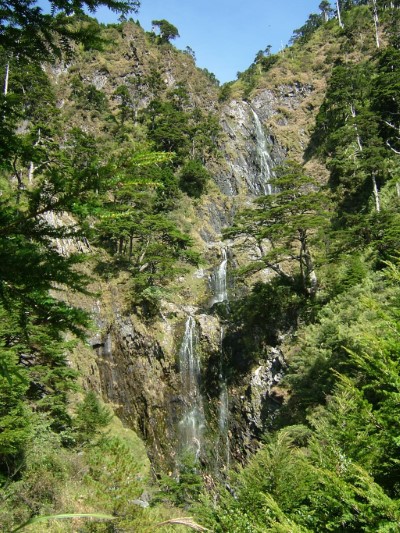 能高越嶺西段國家步道沿途風景